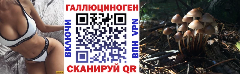 как найти закладки  Сосновоборск  Галлюциногенные грибы мицелий 
